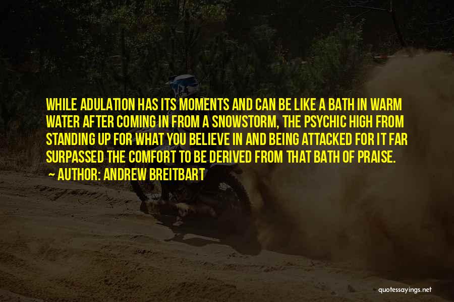 Adulation Quotes By Andrew Breitbart