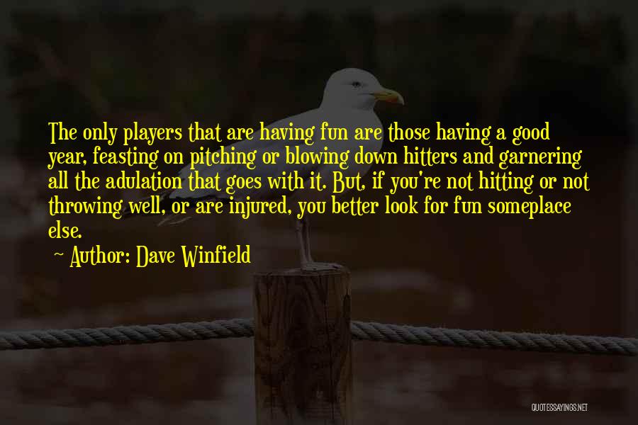 Adulation Quotes By Dave Winfield