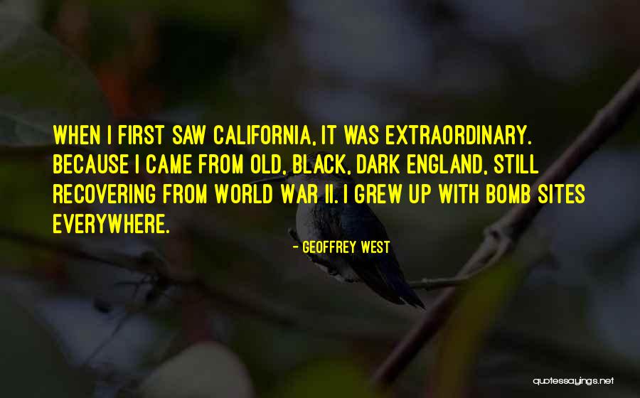 Aduler Synonyme Quotes By Geoffrey West Aduler Synonyme Quotes By Geoffrey West