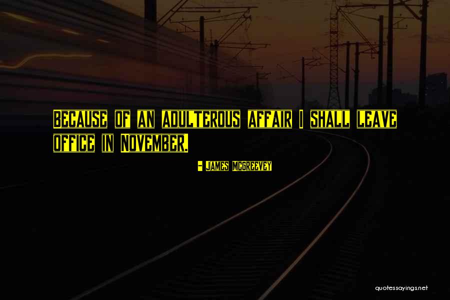 Adulterous Quotes By James McGreevey Adulterous Quotes By James McGreevey