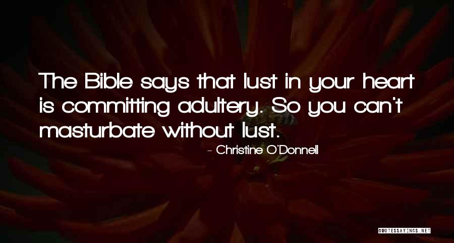 Adultery Quotes By Christine O'Donnell