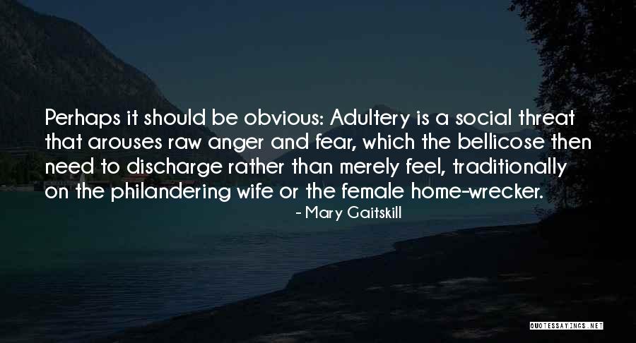 Adultery Quotes By Mary Gaitskill