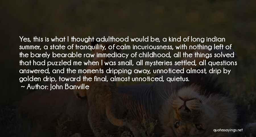 Adulthood And Childhood Quotes By John Banville