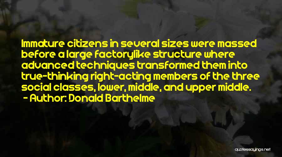 Advanced Thinking Quotes By Donald Barthelme