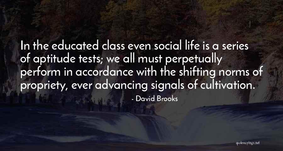 Advancing In Life Quotes By David Brooks