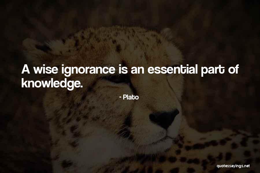 Advaning Quotes By Plato Advaning Quotes By Plato