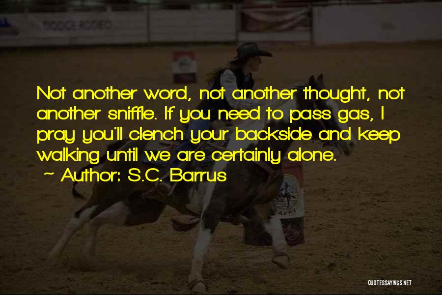 Adventure Alone Quotes By S.C. Barrus