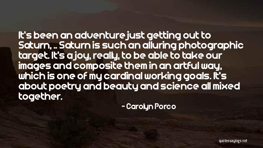 Adventure And Beauty Quotes By Carolyn Porco