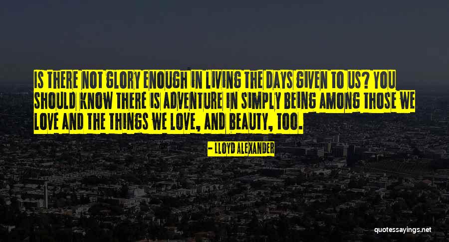 Adventure And Beauty Quotes By Lloyd Alexander