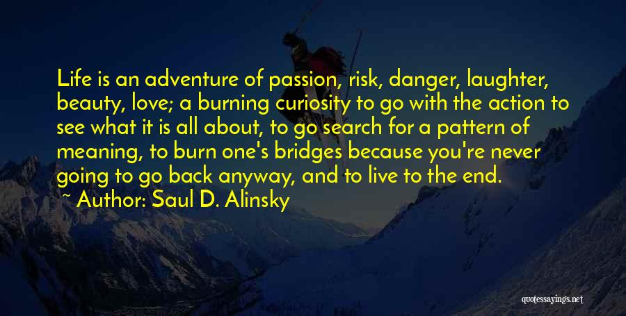 Adventure And Beauty Quotes By Saul D. Alinsky