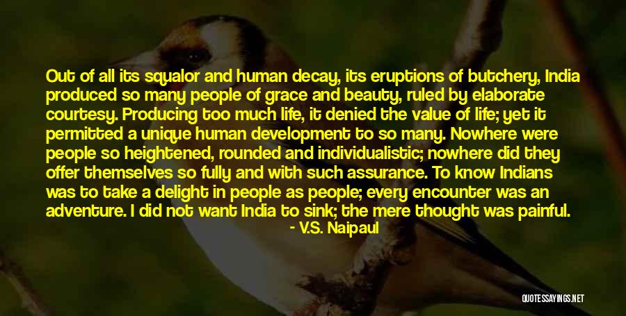 Adventure And Beauty Quotes By V.S. Naipaul