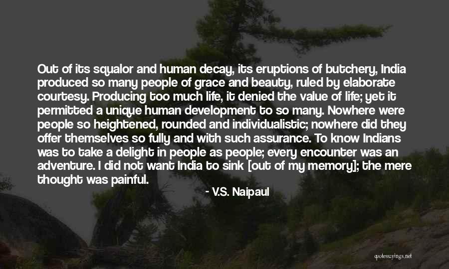 Adventure And Beauty Quotes By V.S. Naipaul