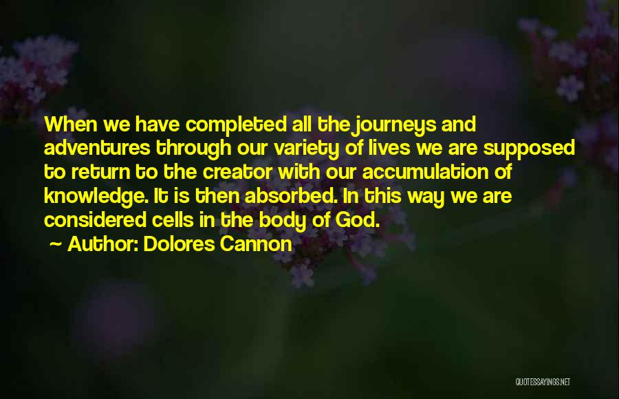 Adventure And Journey Quotes By Dolores Cannon