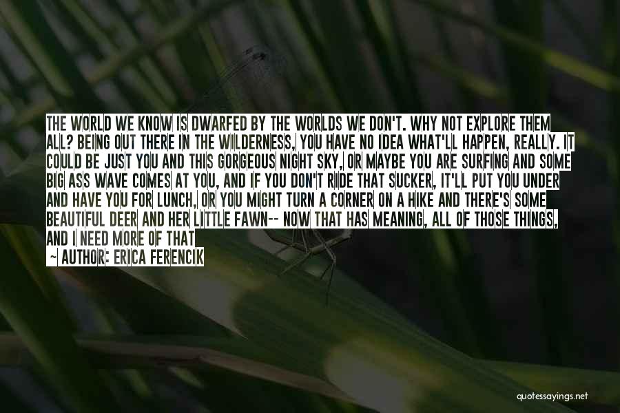 Adventure And Living Life Quotes By Erica Ferencik