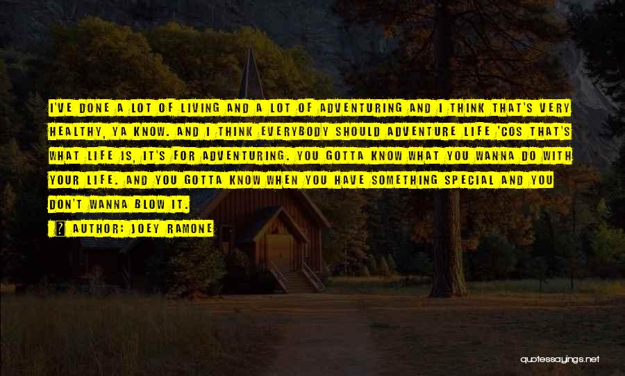 Adventure And Living Life Quotes By Joey Ramone