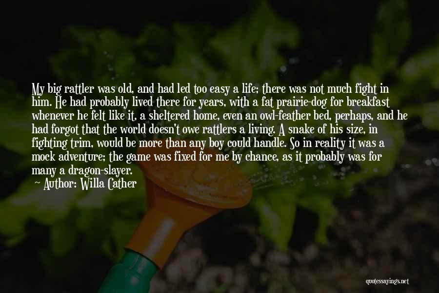 Adventure And Living Life Quotes By Willa Cather