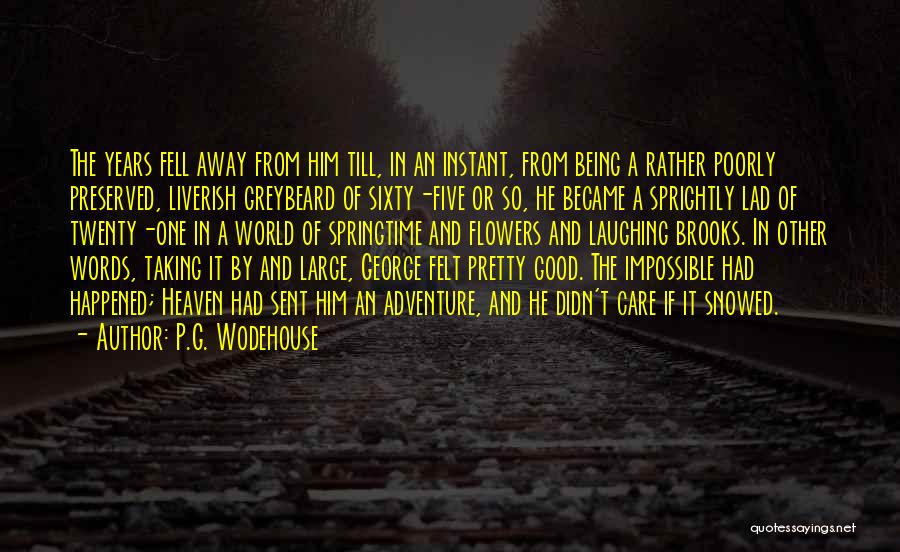 Adventure And Love Quotes By P.G. Wodehouse