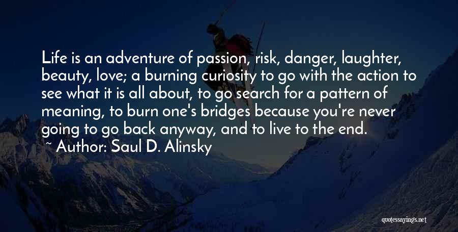 Adventure And Love Quotes By Saul D. Alinsky