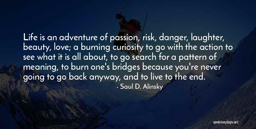 Adventure And Love Quotes By Saul D. Alinsky