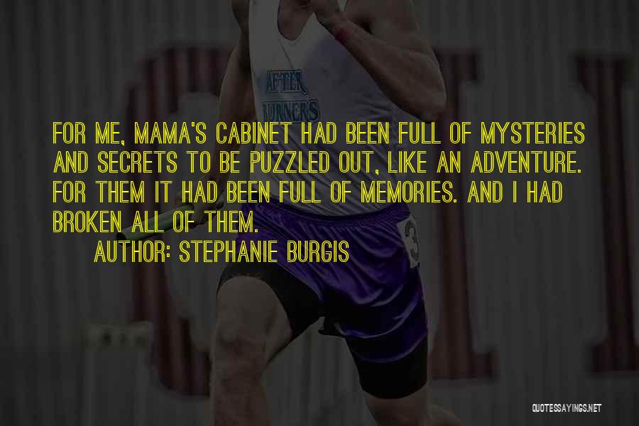 Adventure And Memories Quotes By Stephanie Burgis