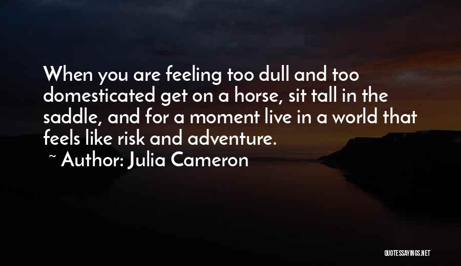 Adventure And Risk Quotes By Julia Cameron