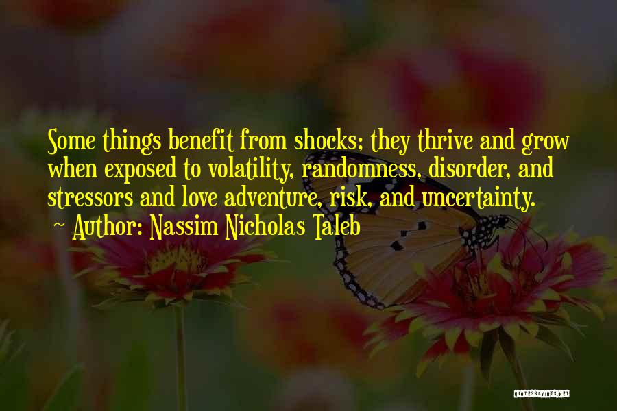 Adventure And Risk Quotes By Nassim Nicholas Taleb