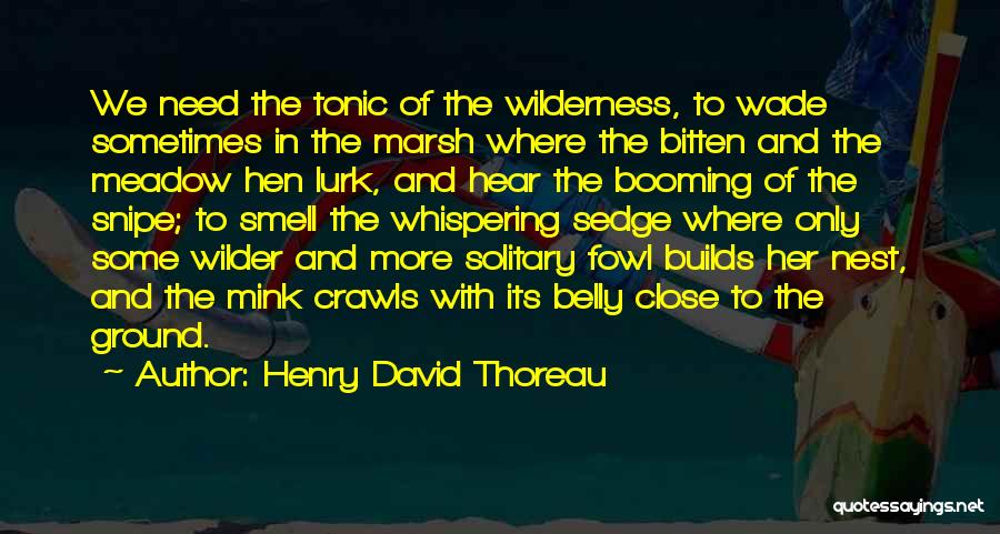 Adventure And Wilderness Quotes By Henry David Thoreau