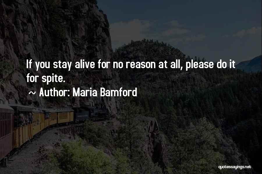 Adventure Core Quotes By Maria Bamford