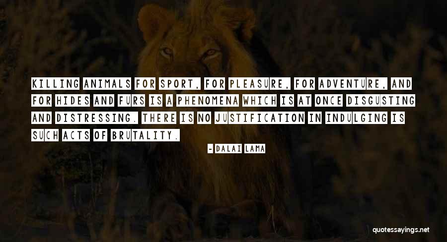 Adventure Funny Quotes By Dalai Lama Adventure Funny Quotes By Dalai Lama