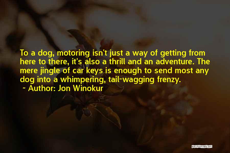 Adventure Funny Quotes By Jon Winokur