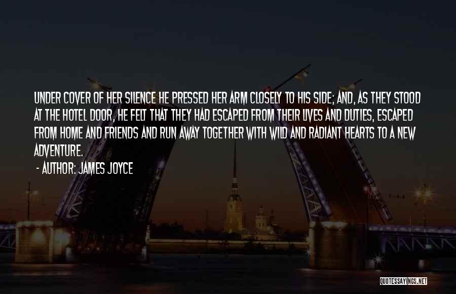 Adventure Into The Wild Quotes By James Joyce