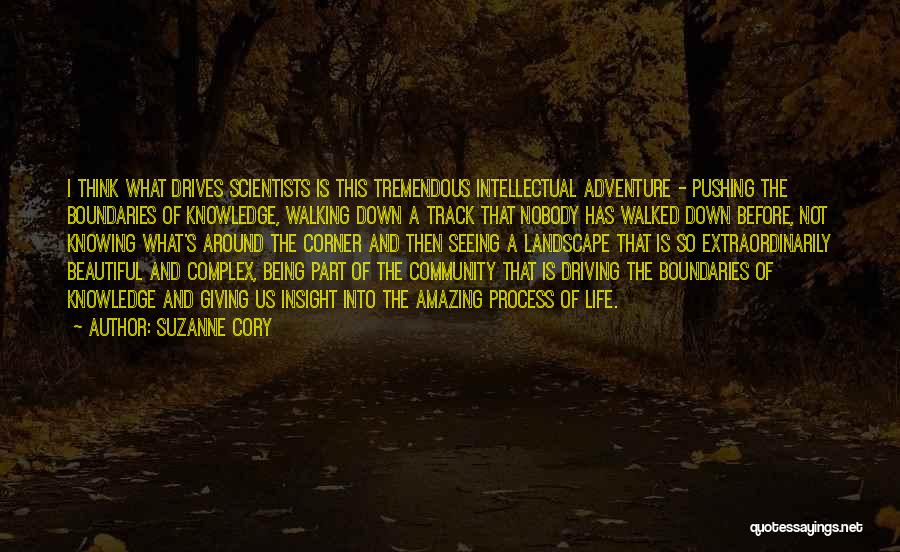 Adventure Quotes By Suzanne Cory