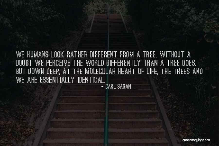 Adventure Time Root Beer Guy Quotes By Carl Sagan Adventure Time Root Beer Guy Quotes By Carl Sagan
