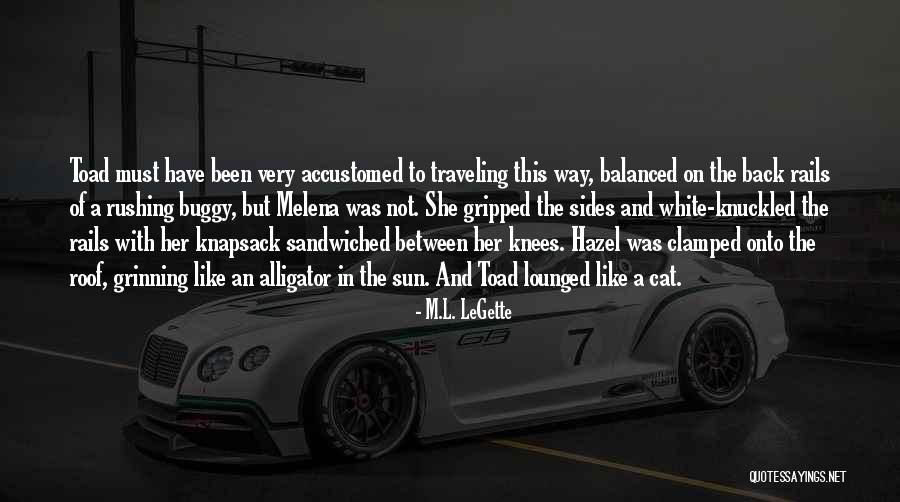 Adventure Traveling Quotes By M.L. LeGette