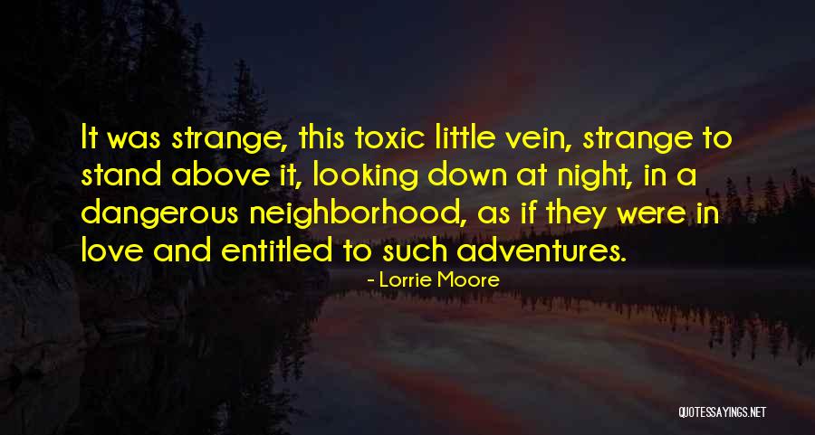 Adventures And Love Quotes By Lorrie Moore Adventures And Love Quotes By Lorrie Moore