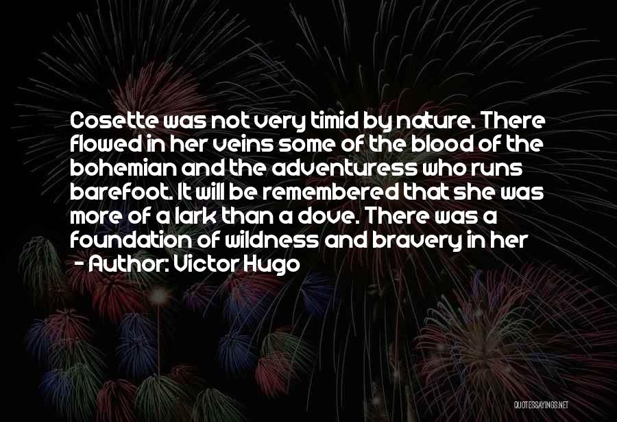 Adventuress Quotes By Victor Hugo