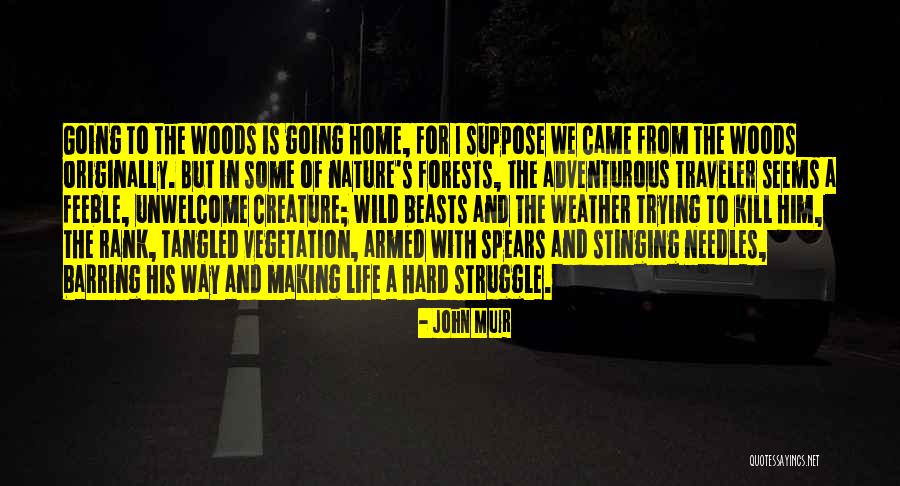 Adventurous Life Quotes By John Muir Adventurous Life Quotes By John Muir