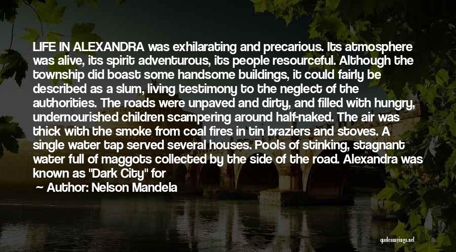Adventurous Life Quotes By Nelson Mandela