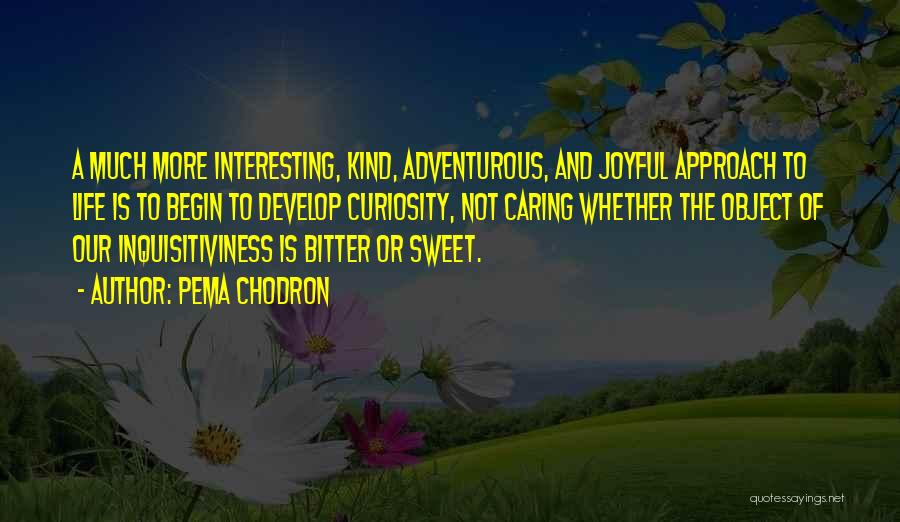 Adventurous Life Quotes By Pema Chodron