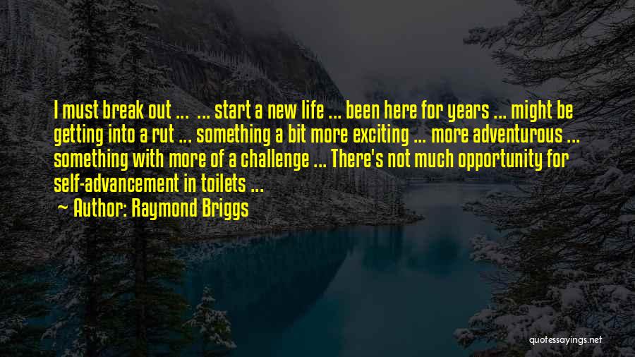 Adventurous Life Quotes By Raymond Briggs