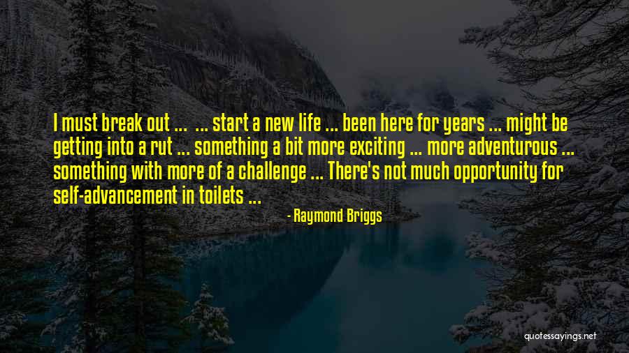 Adventurous Life Quotes By Raymond Briggs