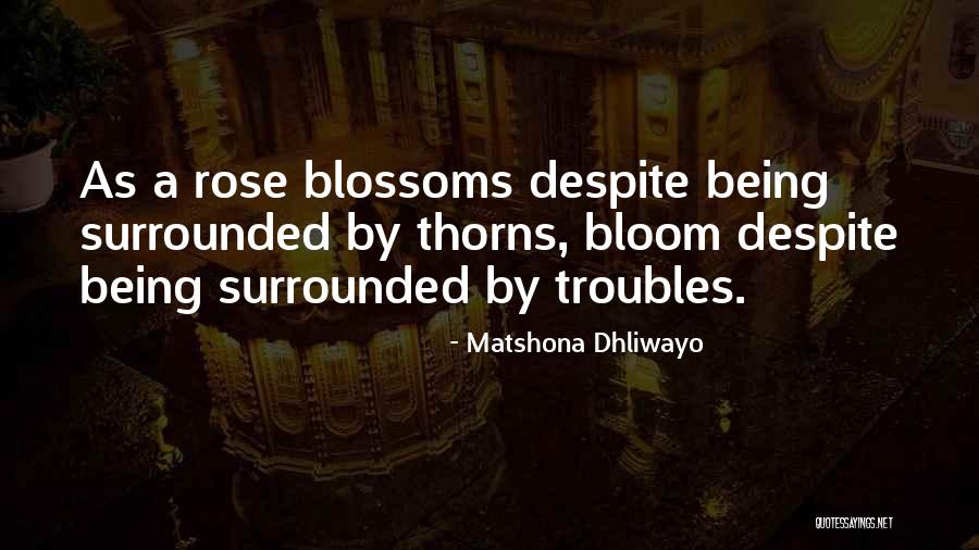 Adversity Quotes Quotes By Matshona Dhliwayo Adversity Quotes Quotes By Matshona Dhliwayo