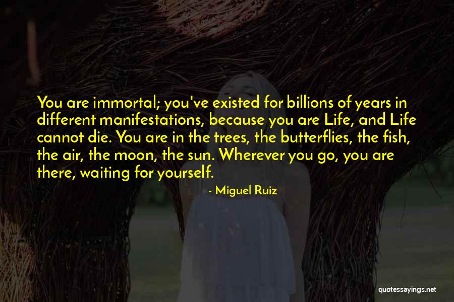 Advertidos Quotes By Miguel Ruiz Advertidos Quotes By Miguel Ruiz
