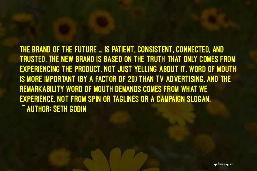 Advertising On Tv Quotes By Seth Godin