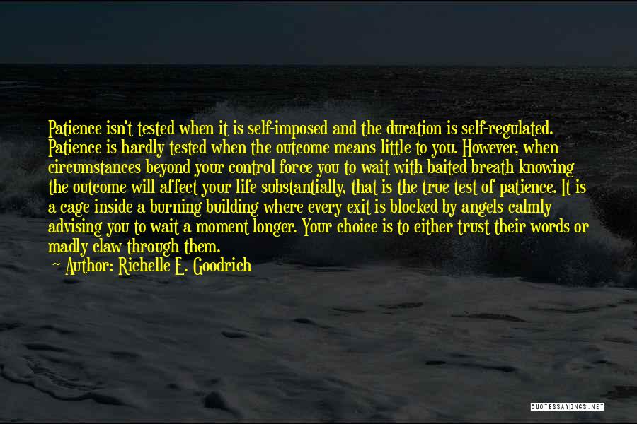 Advising Quotes By Richelle E. Goodrich