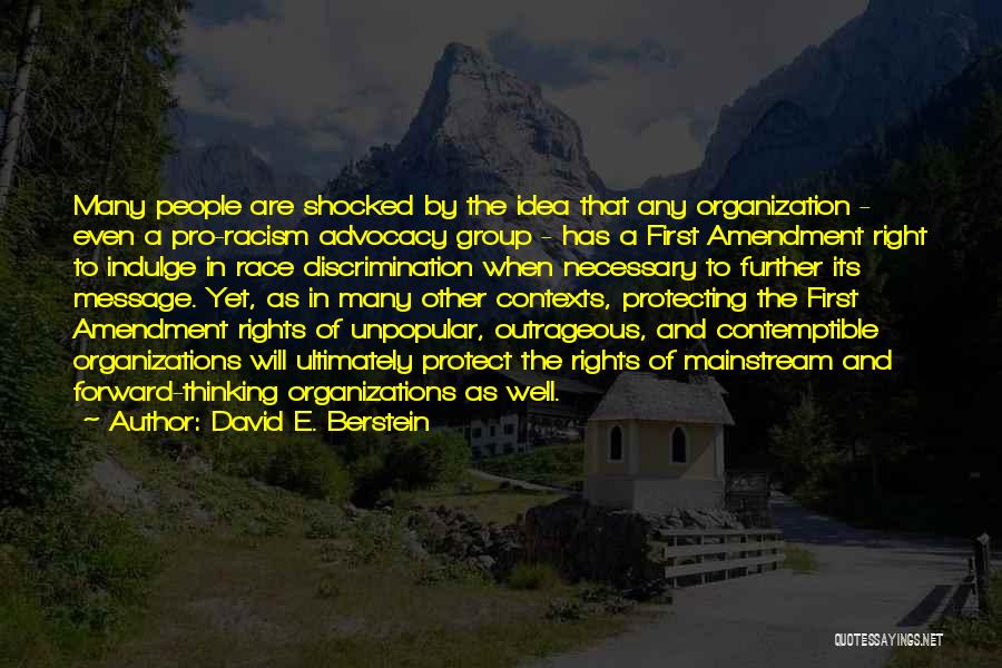 Advocacy Quotes By David E. Berstein