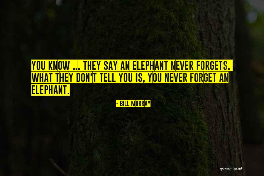Advocatus Portugal Quotes By Bill Murray Advocatus Portugal Quotes By Bill Murray