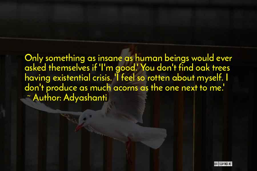 Adyashanti Quotes 1924374