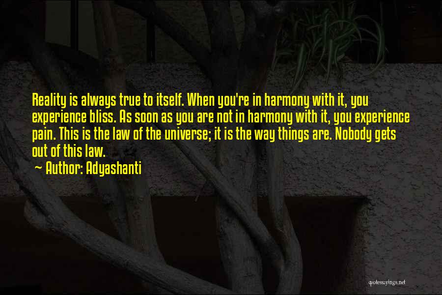 Adyashanti Quotes 2152496