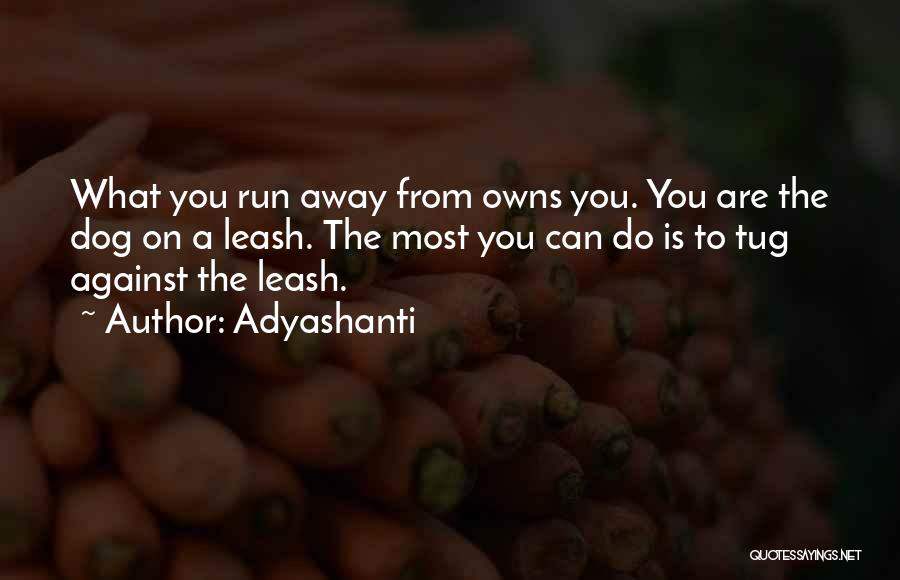 Adyashanti Quotes 396541